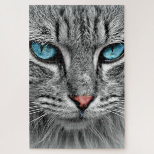 Puzzle Blue Eyed Cat Jigsaw Photo