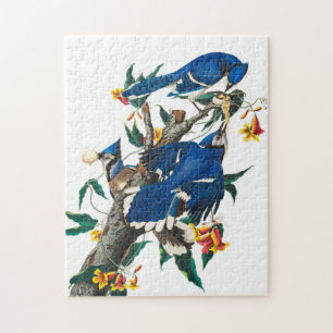 Puzzle Blue Jay par John James Audubon