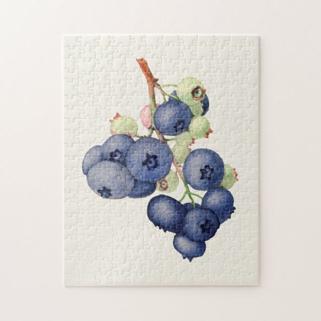Puzzle Blueberries (Vaccinium Corymbosum) Peinture aux fr (Vertical)