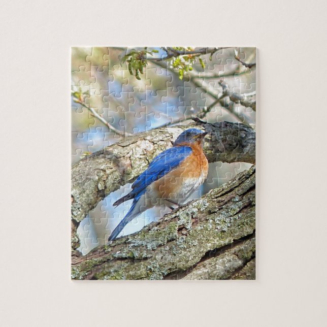 Puzzle Bluebird (Vertical)