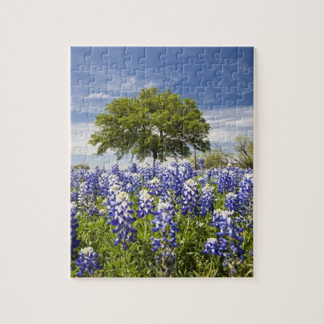 Puzzle Bluebonnets du Texas (lupinus texensis) et chêne (Vertical)