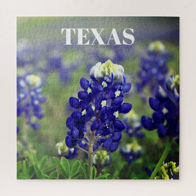 Puzzle Bluebonnets Fleurs Bleues Texas Texan Floral (Vertical)