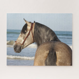Puzzle Bob Langrish Andalucian Stallion Headshot Sea