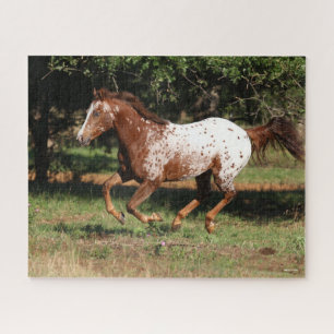 Puzzle Bob Langrish   Appaloosa Horse Running