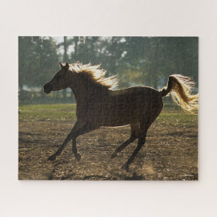 Puzzle Bob Langrish Arrière-lit en cours