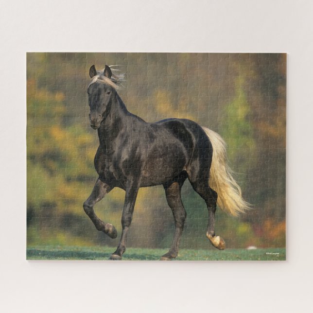 Puzzle Bob Langrish | Automne Rocky Mountain Horse (Horizontal)