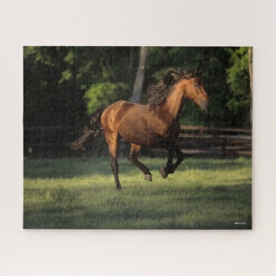 Puzzle Bob Langrish   Baie Andalousie Cheval Courir