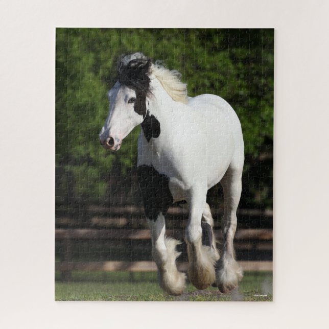 Puzzle Bob Langrish Black and White Gypsy Vanner Running (Vertical)