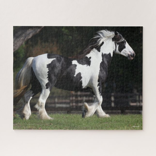 Puzzle Bob Langrish Black and White Gypsy Vanner Walking (Horizontal)