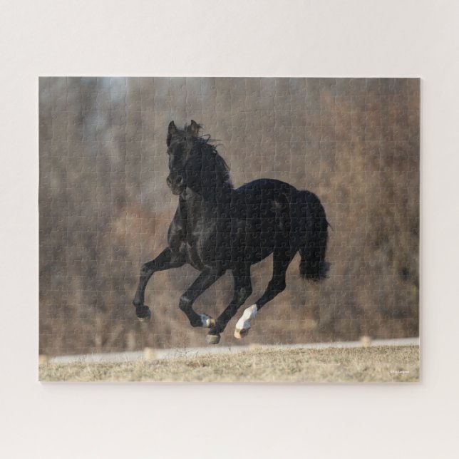 Puzzle Bob Langrish | Black Andalucian Stallion Courir (Horizontal)