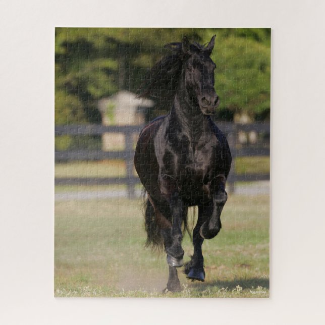 Puzzle Bob Langrish | Black Friesian Mare Running (Vertical)