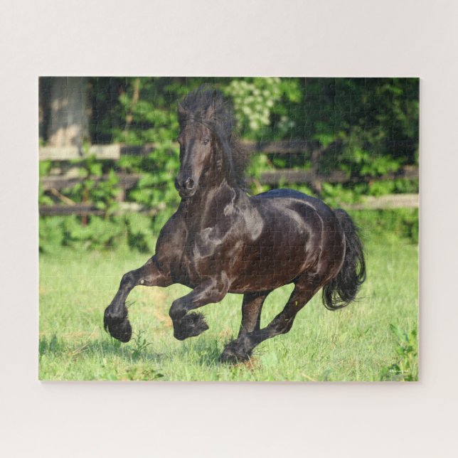 Puzzle Bob Langrish | Black Friesian Running (Horizontal)