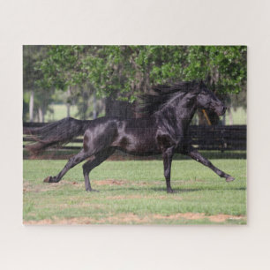 Puzzle Bob Langrish Black Lusitano Runer Mane Flow