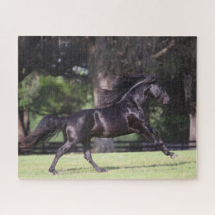 Puzzle Bob Langrish   Black Lusitano Running