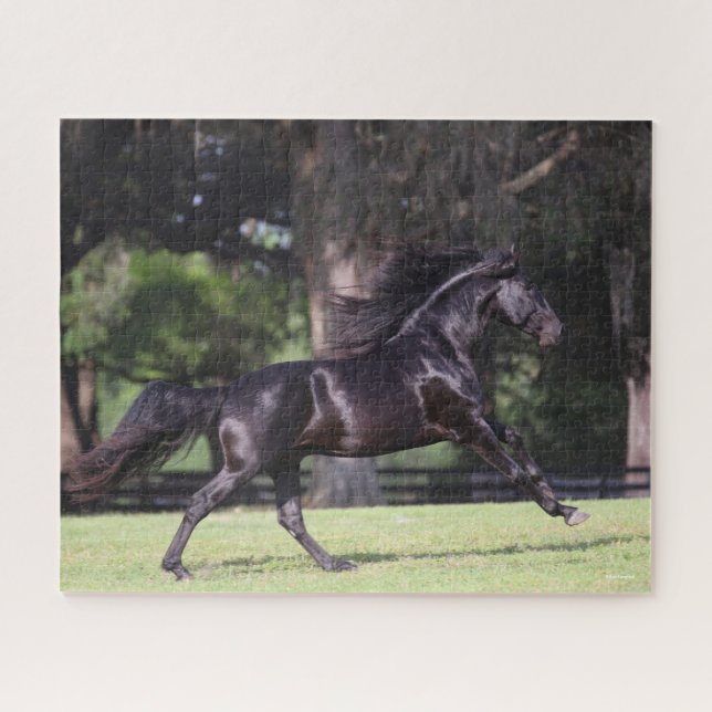 Puzzle Bob Langrish | Black Lusitano Running (Horizontal)