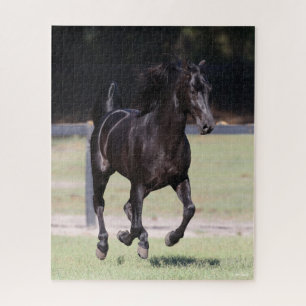 Puzzle Bob Langrish   Black Tennessee Walker Running