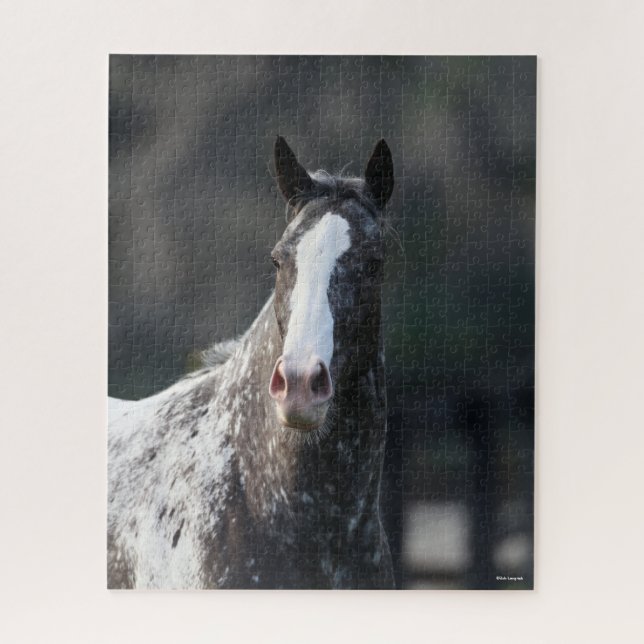 Puzzle Bob Langrish | Capture d'écran Appaloosa (Vertical)