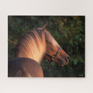 Puzzle Bob Langrish   Capture d'écran de Rocky Mountain H