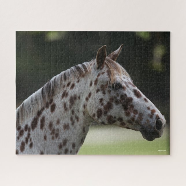 Puzzle Bob Langrish | Capture d'écran de Spotty Appaloosa (Horizontal)