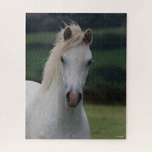Puzzle Bob Langrish | Capture d'écran Gris Welsh Pony (Vertical)