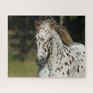 Puzzle Bob Langrish Capture D'Écran Spotty Pony Of Ame