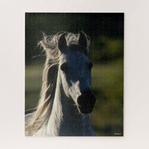 Puzzle Bob Langrish Casque Andalou gris rétroéclairé