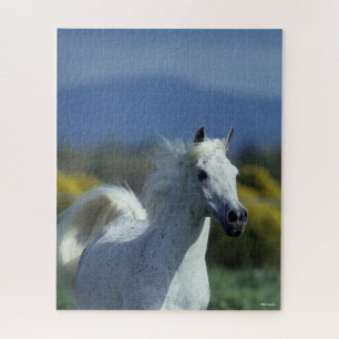 Puzzle Bob Langrish Casque arabe gris