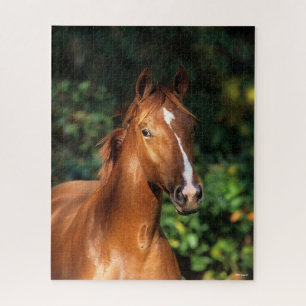 Puzzle Bob Langrish   Casque de Cheval Hanovre de châtaig