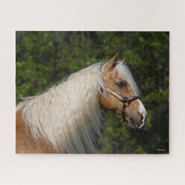 Puzzle Bob Langrish | Casque de Cheval Palomino Quarter (Horizontal)