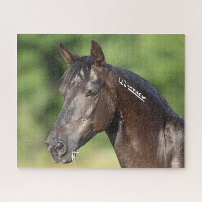 Puzzle Bob Langrish | Casque espagnol Mustang Mare (Horizontal)
