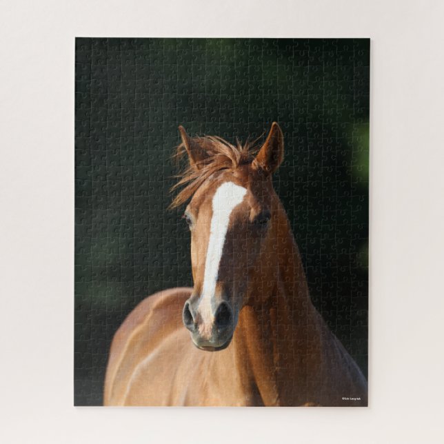 Puzzle Bob Langrish | Casquette Cheval Quartier Châtonnie (Vertical)