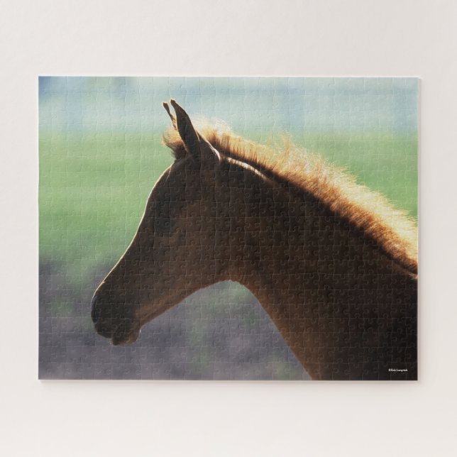 Puzzle Bob Langrish | Casquette rétroéclairée pour le pou (Horizontal)