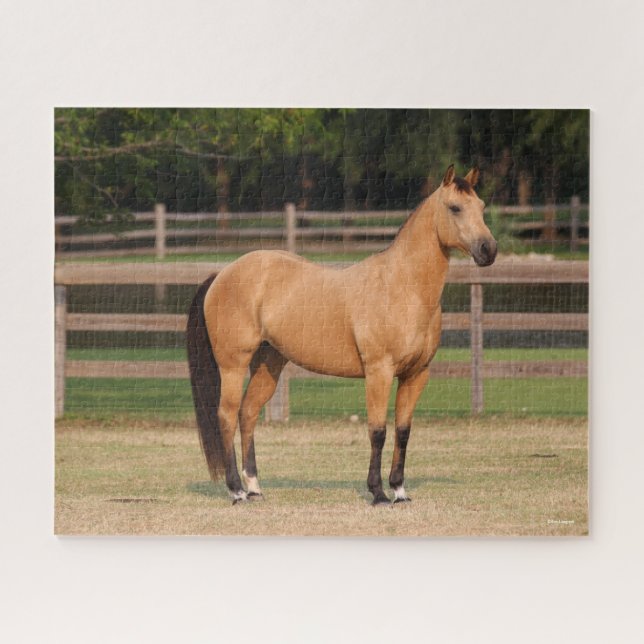 Puzzle Bob Langrish | Cheval de quart en peau de seau deb (Horizontal)