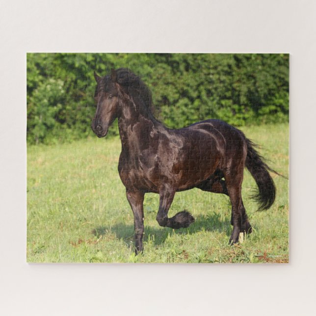 Puzzle Bob Langrish | Cheval friésien Noir Courir (Horizontal)