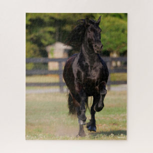 Puzzle Bob Langrish   Cheval friésien Noir Courir