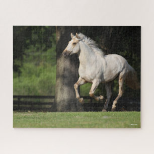 Puzzle Bob Langrish   Cheval Lusitano Courir