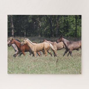 Puzzle Bob Langrish   Chevaux du quartier des troupeaux m