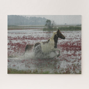 Puzzle Bob Langrish   Chincoteague Cheval Courir Dans L'E
