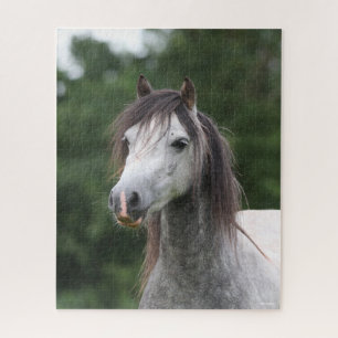 Puzzle Bob Langrish Dapple Grey Welsh Pony Headshot