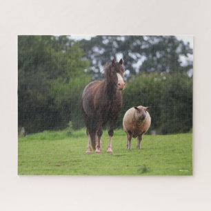Puzzle Bob Langrish Gallois Pony Mare Debout Avec Le Mo