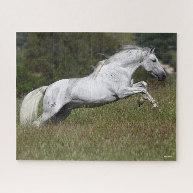 Puzzle Bob Langrish Grey Andalou saute à travers l'herbe (Horizontal)