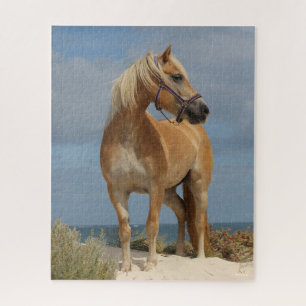 Puzzle Bob Langrish   Haflinger Debout Sur La Plage