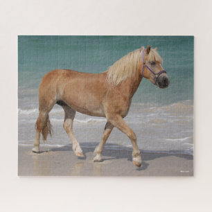 Puzzle Bob Langrish   Haflinger Marcher Sur La Plage