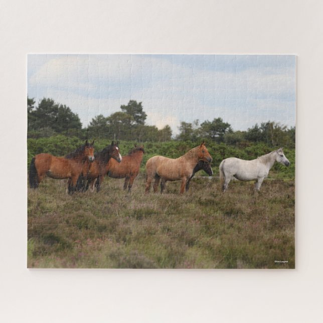 Puzzle Bob Langrish | Herd New Forest Poney debout (Horizontal)