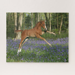 Puzzle Bob Langrish Morgan Foal saute avec Bluebells