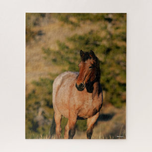 Puzzle Bob Langrish   Mustang Horse Standing