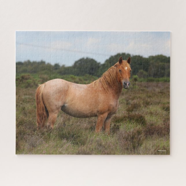 Puzzle Bob Langrish | Nouveau poney forestier debout dans (Horizontal)