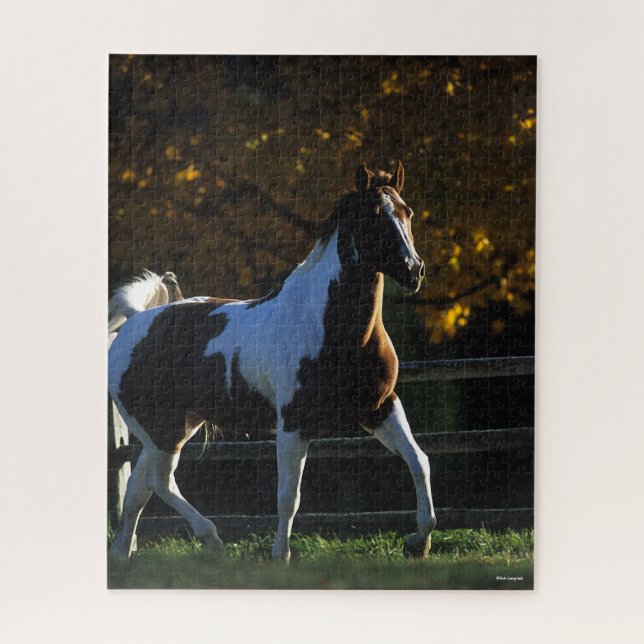 Puzzle Bob Langrish | Paint Horse Walking Backlight Autom (Vertical)