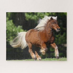 Puzzle Bob Langrish   Palomino Miniature Pony Running