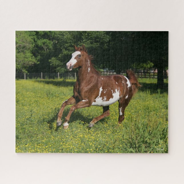 Puzzle Bob Langrish | Pinto Oldenburg Courir en fleurs (Horizontal)